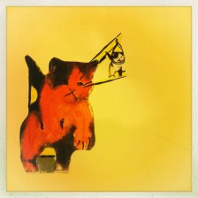 sadcathangingcatprint